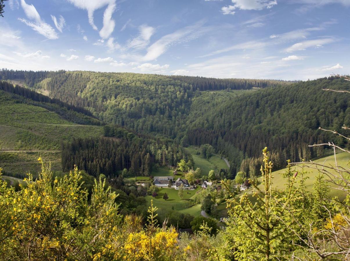 Отель Gut Vorwald 3*